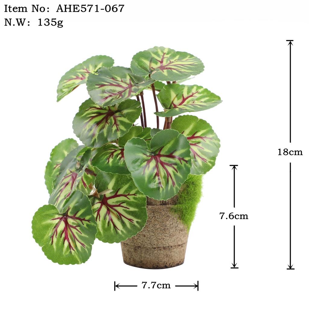 Искусственные зеленые растения для настольного украшения в помещении Эвкалипт Лист банана Спина черепахи Маргаритка Гибискус