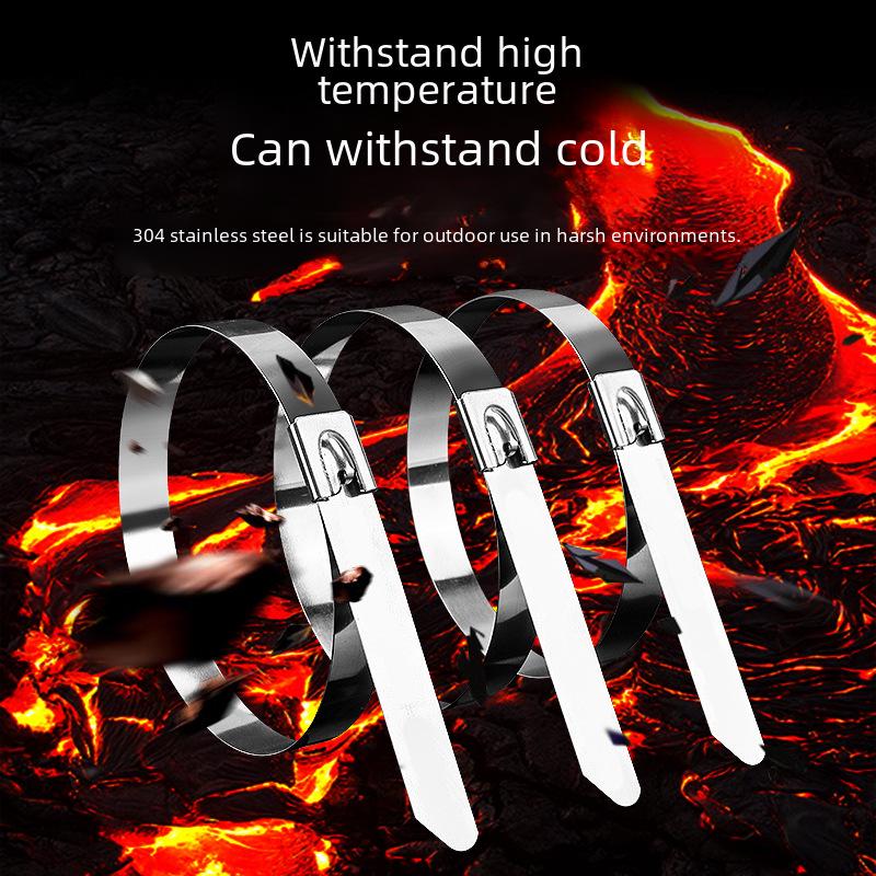 Хомут для морского кабеля из нержавеющей стали 304 с пряжкой для крепления проводов для фотоэлектрической энергии