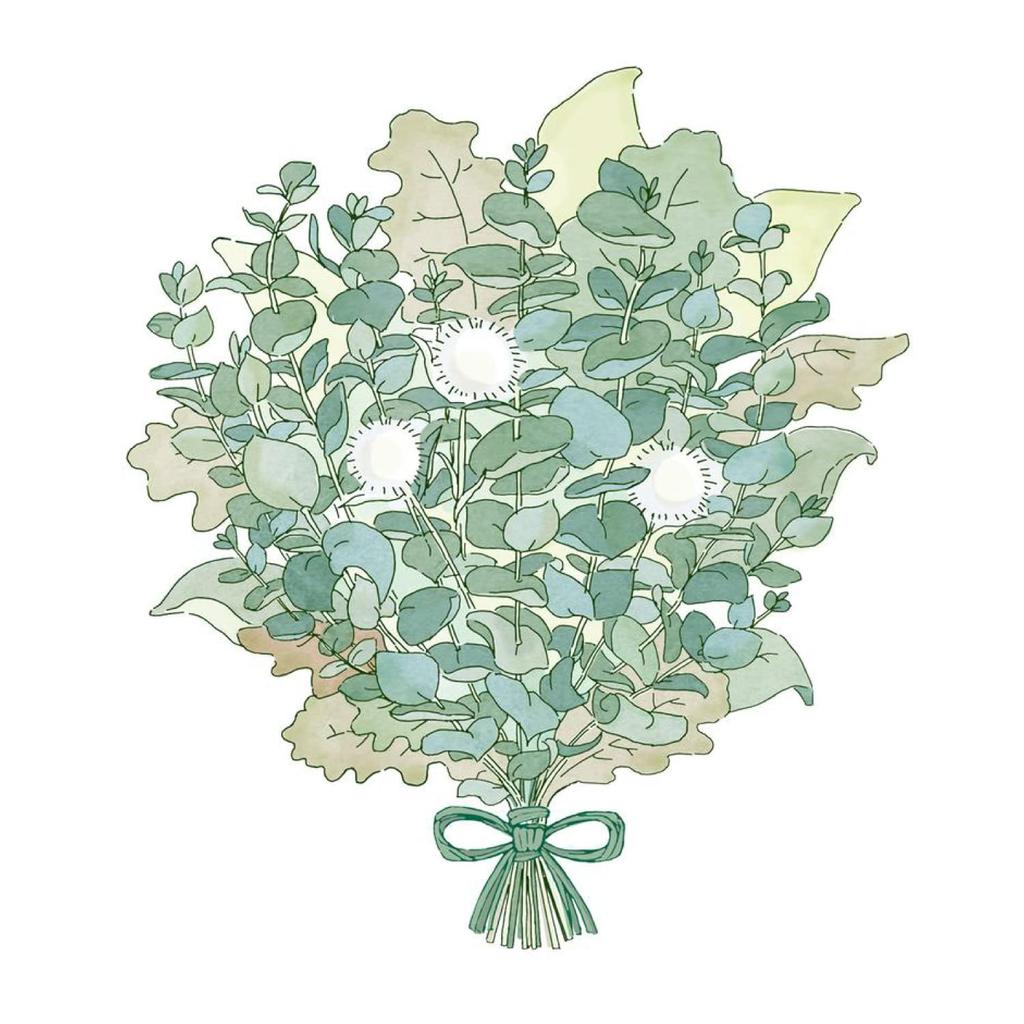 Mitsubishi Pencil Pen Jet Stream Inside Pure Malt Limited Eucalyptus MSXE5200505EU Multi-function 4&1 0.5