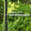 Решетка для поддержки виноградной лозы из драконьего фрукта, металлическая решетка, регулируемая садовая опора, каркас для вьющихся растений для вертикального садоводства