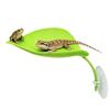 Frog Habitat Leaf Suction Cup Tank Terrarium Realistic Leaf Reptile Basking Area Resting Terrace for Geckos Frog Tank Decor