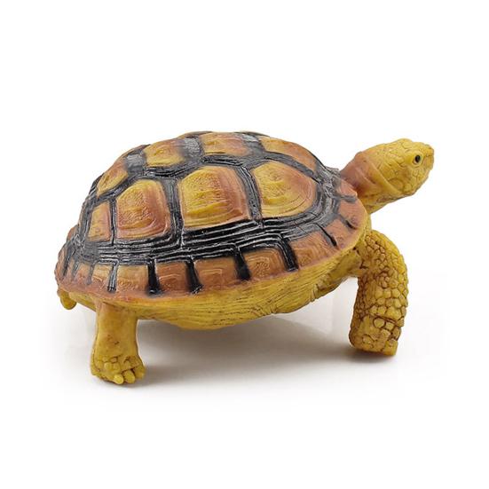 Sulcata Tortoise Mold Vivid Clear Texture 3D Effect Sea Ocean Life Simulation Animal Model for Kids