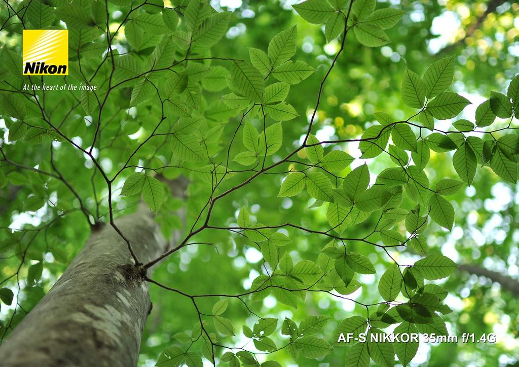 Nikon Single Focus Lens NIKKOR 35mm Full Size Compatible AF-S f/1.4G