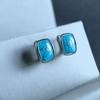 Серебряные серьги с бирюзой (2176572)