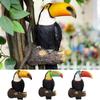 Реалистичная фигурка птицы тукан Модель птицы Фигурка птицы Милый тукан Статуэтка-обнимашка для дерева Гостиная
