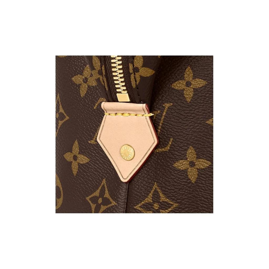 Louis Vuitton Косметичка/косметичка с принтом по всей поверхности и застежкой-молнией, большая, женская, коричневая