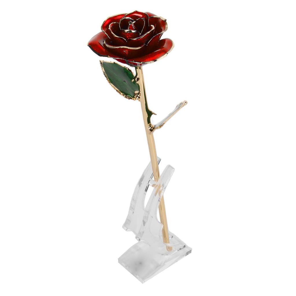 Preserved Rose 24K Gold Plated Bright Luster Rich Details Exquisite Gold Dipped Rose for Birthday