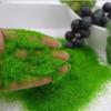 Material Garden Artificial Moss DIY Accessories Micro Landscape Decoration Artificial Grass Powder