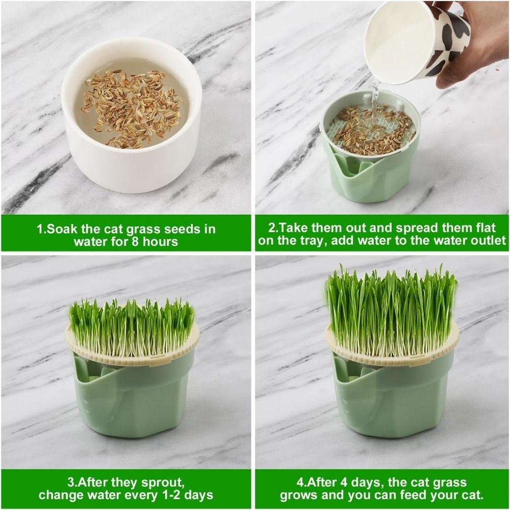 Hydroponic Microgreens Growing Kit Easy To Grow Soilless Planting Box  Cat Snack