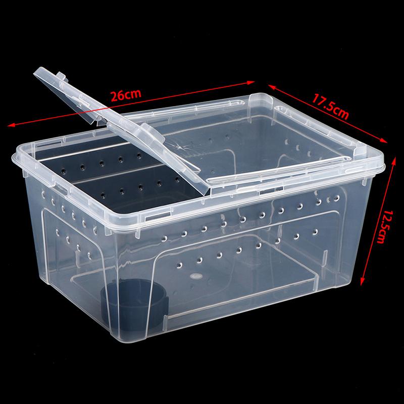 Reptile Box Mantis Jumping Spider Silkworm Rearing Box Reptile Rearing Box