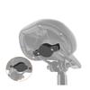 Universal Cycling Accessories Locator Cover For AirTag Bike Seat Mount Protective