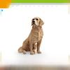 Имитация Ину Шиба Золотистый ретривер И Бордер колли Модель домашней собаки Украшение