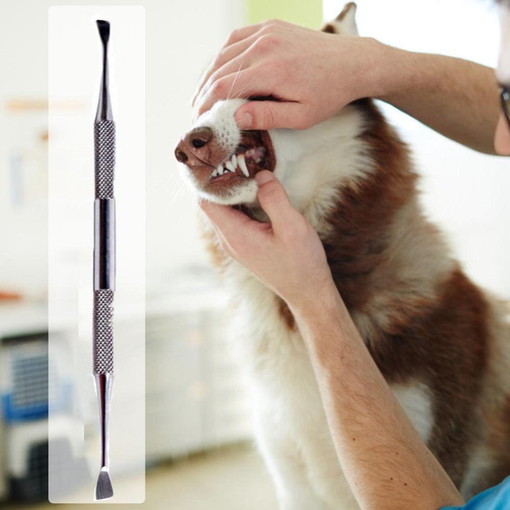Non-slip Handle Tartar Scraper Scaler Stainless Steel Pet Toothbrush For Pet Cat Dog