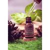 Arth Naturals, Сила 14 масел, Сыворотка для лица, Для всех типов кожи, Антивозрастной, Без морщин, Пигментация, Корректор тона кожи