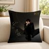 Singer EEle YYan Cushion Cover Soft Short Plush SkinFriendly Cushion Case for MultiScene Use