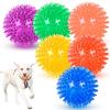 Sound Thorn Bite-Resistant Dog Ball: Elastic, Durable, Interactive TPR Pet Toy