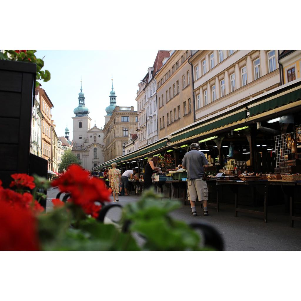 Canon EF-S24mm F2.8 STM Wide-Angle Prime Lens for APS-C Cameras