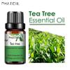 PHATOIL 5 мл/10 мл/15 мл/30 мл/100 мл Эфирные масла чайного дерева для ароматерапии Увлажнитель Диффузоры Снимают стресс Натуральные масла чайного дерева