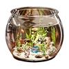 Round Fish Tank Transparent Round Ornamental Fish Tank Portable Small Fish Bowl Small Ornamental Home Decor for Ornamental Fish
