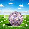 1pc Kittens Butterflies Theme Soccer Ball Football, Size 5, Lightweight PVC, Outdoor Training Soccer Ball,Gift c6566