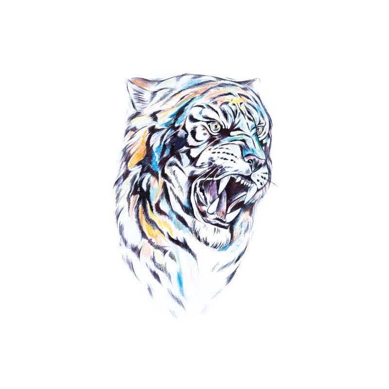 Реалистичная голова тигра, временные татуировки для мужчин, мальчиков, взрослых, поддельные компас, Лев, Сова, лиса, татуировка, наклейка, перенос воды, боди-арт, татуировки
