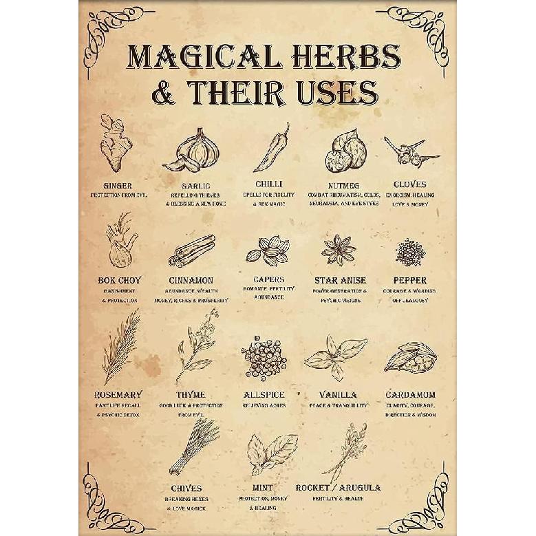 DZQUY Magical Herbs And Their Uses Witchy Poster Kitchen Witch Wall Art Vintage Kitchen Witchery Witches Magic Knowledge Poster Tin Signs For Man