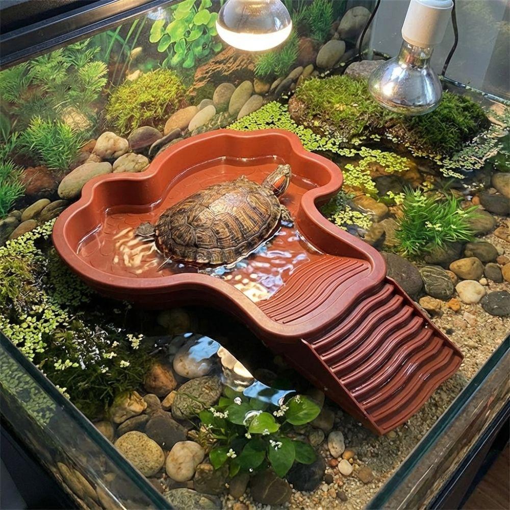 Anti-Slip Base Turtle Soaking Tub with Ramp Reptiles Water Dish Turtle Bath Basin for Small Pet