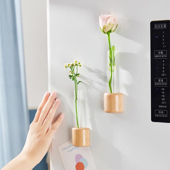 Гидропонные растения Ваза-пробирка Магнит на окно/холодильник Деревянная подставка Размножение растений