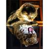 Алмазная картина набор животных отражение 5D DIY Алмазная вышивка продажа кошка собака Стразы мозаика вышивка крестиком Decortion
