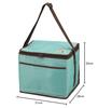 Captain Stag CS Charmant UE-555, 15L Mint Green Cooler Bag for Barbecues and Picnics