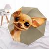 Chihuahua, Cute Automatic Folding Umbrella Compact 8 rib Design, Unique Style, Suitable for Everyday Outdoor Use, Perfect Gift for Friends a