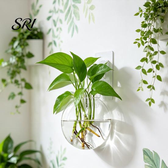 Decorative Wall Planter Hanging Glass Clear Flower Vase for Hydroponics Plants Greenery Home Decor Mount Terrarium Propagation Station Bathroom Office
