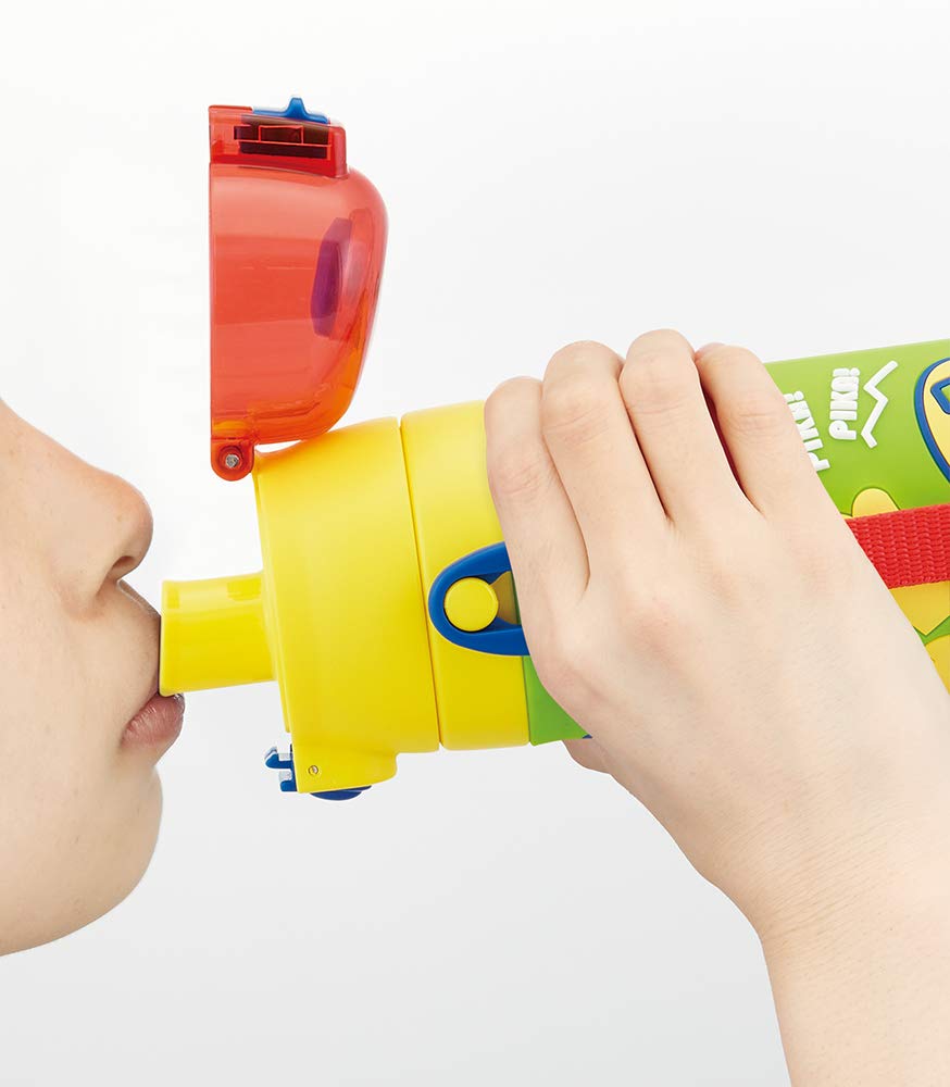 Детская 3D бутылка для воды из нержавеющей стали Skater, 480 мл, дизайн Pokemon Pikachu, 21 (SDPV5-A)