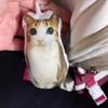Squeeze Meowl Keyring Stuffed Animal Cat Plush Pendant Funny Cat Voice Keychain  Friend Gift