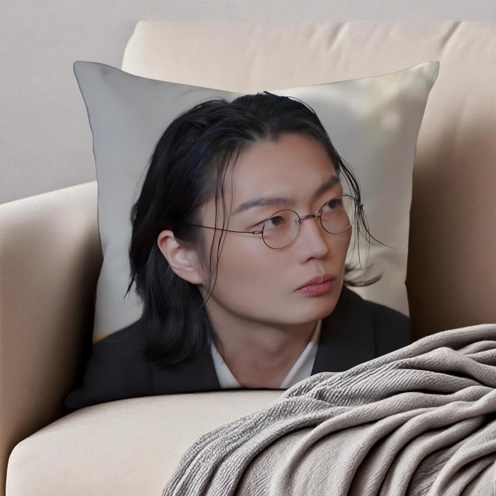 RRoh JJae Won Чехол для подушки Наволочка Антиклещевая Невидимая молния Короткий плюш Подушка для дивана