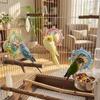 Wear-Resisting Bird Mirror Perch Colorful Ball Bird Flying Saucers  Bird Supplies