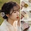 Hair Accessories Bow Flower Hair Clips Non-slip Shark Clip New Side Clip