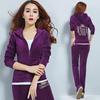 Slim Velvet Tracksuit Women Hooded Zip Korean Casual Basic Two Piece Set Tops and Pants Soft Home Clothing Ensemble Femme