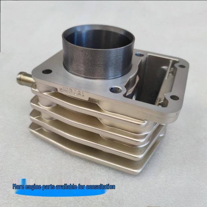 Water-Cooled 150/175/200cc Trike Cylinder Kit with Piston Ring & Gasket Set