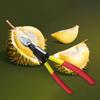 Metal Durian Fruit Opener Machine Rust Proof Fruit Clip Durable Fruit Pliers  Camping