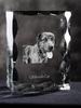 Catahoula Leopard Dog, Catahoula Cur - crystal with a picture of a dog, glass statuette with a picture, unique frame with a picture from Art-Dog brand