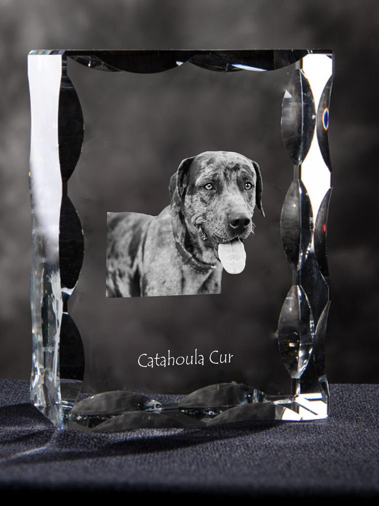 Catahoula Leopard Dog, Catahoula Cur - crystal with a picture of a dog, glass statuette with a picture, unique frame with a picture from Art-Dog brand