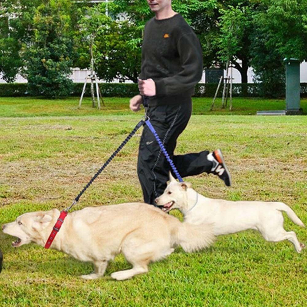 Собаки на двоих Двойной поводок для питомцев Поводок-ремень для питомцев Зоотовары Собаки Поводок Вещи Собачий поводок Веревка
