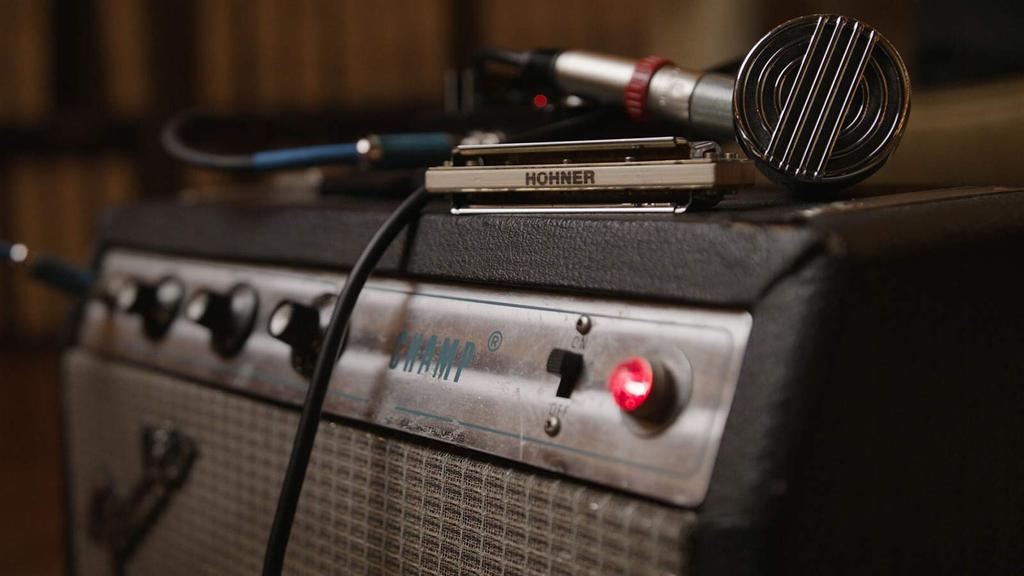 sE ELECTRONICS Harp Blaster HB52 57cm