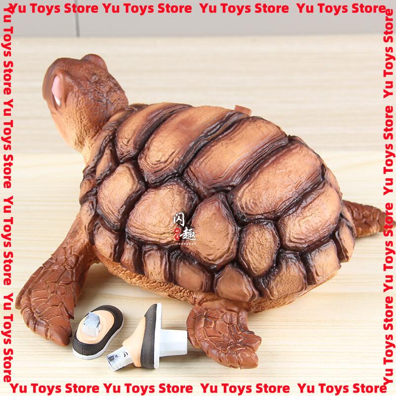 17cm In Stock Jt Toys Anime Figures Master Roshi Figures Kame Sennin Statue Collect Model Desk Ornament Gift Toy