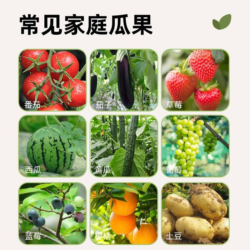 Organic Fertilizer for Fruits and Vegetables Special Potted Agricultural Compound Fertilizer for Vegetables