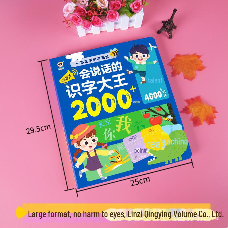 Little Confucian Literacy King: A Bilingual Early Education Book for Kids Transitioning from Kindergarten To Primary School