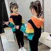Girls' Plush Suit: Trendy Autumn-Winter 2025 Sweatshirt for Middle and Large Children.