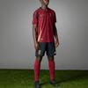 adidas Бельгия 2024 Домашняя Аутентичная Футболка IM8440
