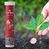 Gardening for Plants All-purpose Fertilizer Organic Fertilizer Slow-Release Tablet Ease Plant Food